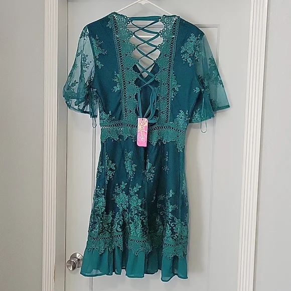 NWT Southern Fried Chics "Swept Away Dress" in Peacock - Large - Picture 2 of 9